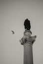 Grayscale vertical shot of the Column of Pedro IV located in the center of Rossio Square