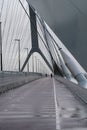 Grayscale view of people walking on Leonard P. Zakim Bunker Hill Memorial Bridge in Boston