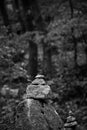 Grayscale view of a stack of balanced stones in the wood