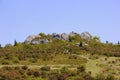 Grayson Highlands State Park in Virginia, USA