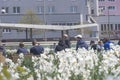 Graz, Austria-April 25, 2021: People relaxing and enjoying sunny spring day near a white daffodils garden in the park. Selective