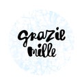 Grazie mille hand lettering phrase Royalty Free Stock Photo