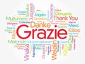 Grazie (Thank You in Italian) Word Cloud