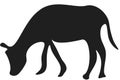 Grazing animal silhouette. Donkey or cow.