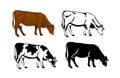 Grazing cow in brown color, silhouette, contour and patched silhouette