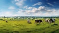 grazing cow pasture Royalty Free Stock Photo