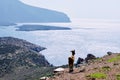 Grazing Goats On The Island Of Leros, Greece, Europe