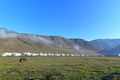 A grazing horse and Mongolian tents on the grasslands of the Kanas Nature Reserve, northern Xinjiang, China