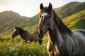 Grazing horses on hillside at sunrise, sunrise and sunset wallpaper