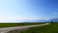 Grazing horses in a landscape field on a summer day in the mountains gave a clear day against the blue sky. Royalty Free Stock Photo