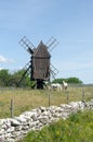 Grazing horses by an old windmill at the island Oland in Sweden Royalty Free Stock Photo