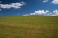 A grazing land on a summer day