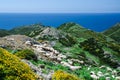 Grazing sheep on the coast of Sardinia Royalty Free Stock Photo