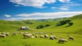 grazing sheep on farm Royalty Free Stock Photo