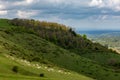 Grazing sheep on a hillside on a spring morning, at Ditchling Beacon in Sussex