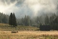 Grazing sheep in the valley on a misty morning Royalty Free Stock Photo