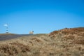 Grazing sheep in Yorkshire moorland Royalty Free Stock Photo