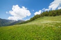 Grean meadow in the mountains Royalty Free Stock Photo