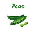 Grean peas pod