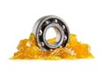 Grease and ball bearing isolated on white background with clipping path, lithium machinery lubrication for automotive and Royalty Free Stock Photo