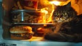 Greasy hamburger feast, fat cat lurking, midnight snack, soft fridge light, candid capture , photographic style