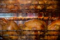 Greasy unhealthy chicken roasting in the oven Royalty Free Stock Photo