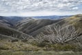 Great alpine road