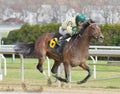 Great American Horse Racing Photos