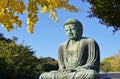 The Great Amida Buddha of Kamakura (Daibutsu) in the Kotoku-in Temple Royalty Free Stock Photo