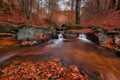 Great Autumn Forest Landscape In Orange Color With Beautiful Creek And Misty Forest. Enchanted Autumn Beech Forest With Red Fallin