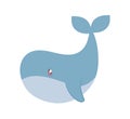 great baby whale