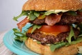 Great bacon and cheese burger