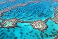 Great Barrier Reef colours Royalty Free Stock Photo