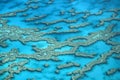 Great barrier reef Royalty Free Stock Photo