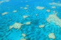 Great Barrier Reef Royalty Free Stock Photo