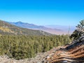 Great Basin Hiking