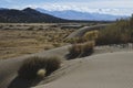 The great basin landscape in the autumn sun Royalty Free Stock Photo