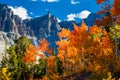 Great Basin National Park Royalty Free Stock Photo