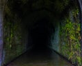 The Great Bend Tunnel, John Henry Historical Park Royalty Free Stock Photo