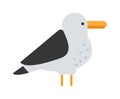 Great black-backed gull larus marinus sea wildlife animal and beautiful bird flat vector.