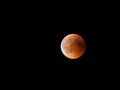Great Blood Moon during longest total Lunar Eclipse of XXI century on black sky from Poland in 2018 Friday July 27 Royalty Free Stock Photo