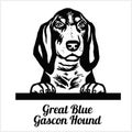 Great Blue Gascon Hound - Peeking Dogs - breed face head isolated on white