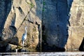 Great Blue Heron fishing near the cliffs on the St. Croix River in Taylors Falls Minnesota Royalty Free Stock Photo