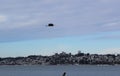 Great blue heron flying over a Bald eagle in winter Royalty Free Stock Photo