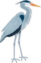Great Blue Heron Illustration