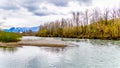 The Great Blue Heron Nature Reserve near Chilliwack, British Columbia, Canada Royalty Free Stock Photo