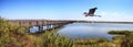 Great blue heron over a Bridge along the peaceful and tranquil m Royalty Free Stock Photo