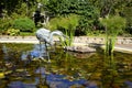 Great blue heron pond sculpture Royalty Free Stock Photo