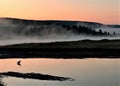 Great Blue Heron Yellowstone Morning Fog Silhouette Royalty Free Stock Photo