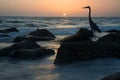 Great Blue Heron Silhouette At Sunset Royalty Free Stock Photo